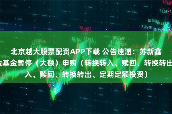 北京越大股票配资APP下载 公告速递：苏新鑫盛利率债债券基金基金暂停（大额）申购（转换转入、赎回、转换转出、定期定额投资）