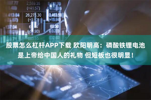 股票怎么杠杆APP下载 欧阳明高：磷酸铁锂电池是上帝给中国人的礼物 但短板也很明显！